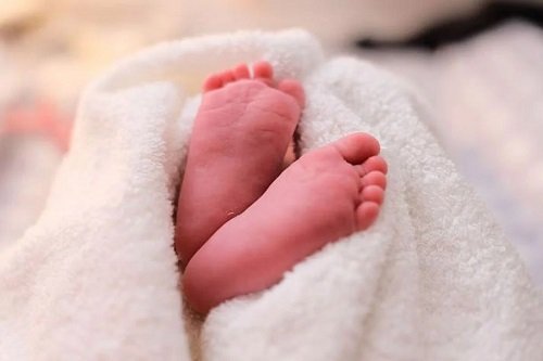 ধানক্ষেতে কান্নার শব্দে উদ্ধার নবজাতক